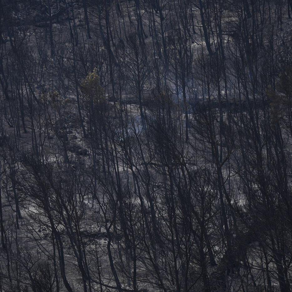 Firefighters battle to prevent reignition of France’s largest wildfire as residents return home